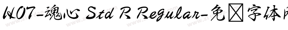 HOT-魂心 Std R Regular字体转换